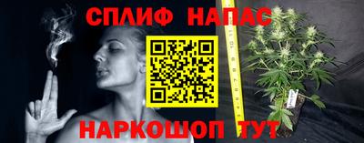хмурый Малгобек