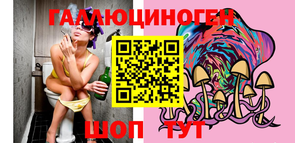 Псилоцибиновые грибы Psilocybe  Псилоцибиновые грибы прущие грибы  Тамбов  Вход с VPN 