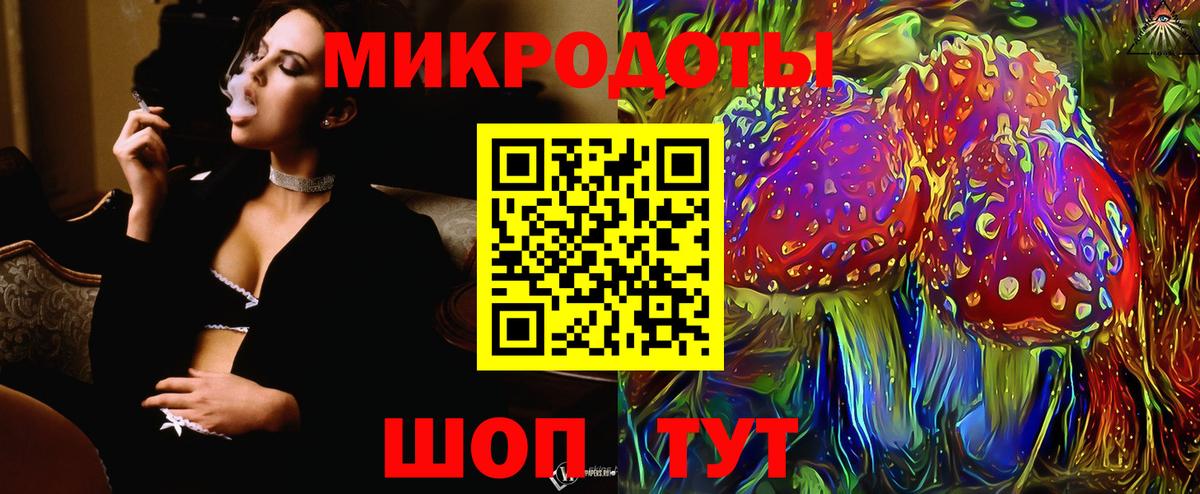 Псилоцибиновые грибы Cubensis Тамбов